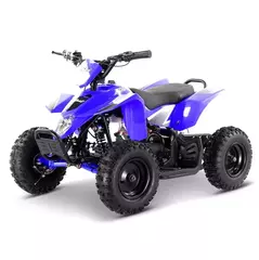 Квадроцикл APOLLO RFZ E-KITTY