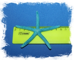 Синяя морская звезда Фингер 7-15 см.