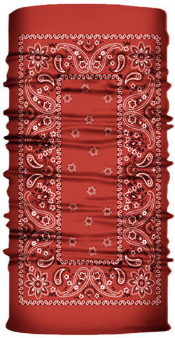 Картинка шарф-труба Skully Wear Tube fleece paisley S157 - 3