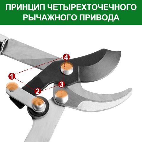 Сучкорез садовый для обрезки Berry&Bird