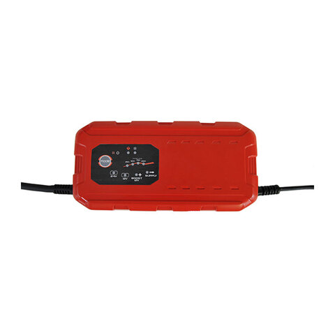 LEM 1224250 Устройство постоянного подзаряда 25А 12/24V (Швейцария)
