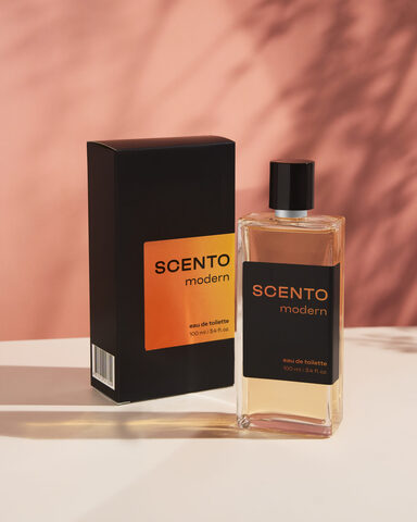 Dilis SCENTO Туалетная вода д/муж MODERN (735) 100мл