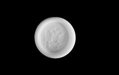 Силиконовый молд 