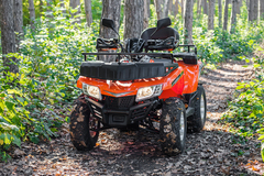 Квадроцикл YACOTA CABO 200 LD