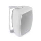 100В всепогодная акустика CVGaudio ODF416TW