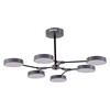 Светильник потолочный Evoluce Monta SLE6003-702-06