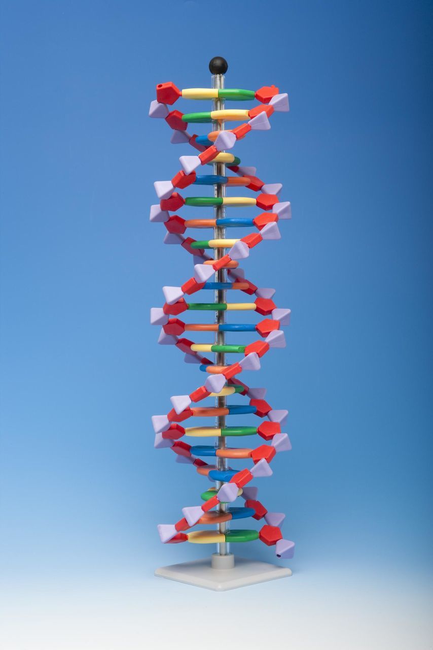 Неканоническая ДНК