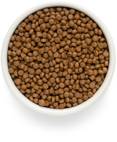 PREMIER Свежее мясо индейки для щенков