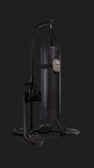 Боксерская станция ELITE 1995 FILIPPOV 01 комплект без утяжелителей, черный