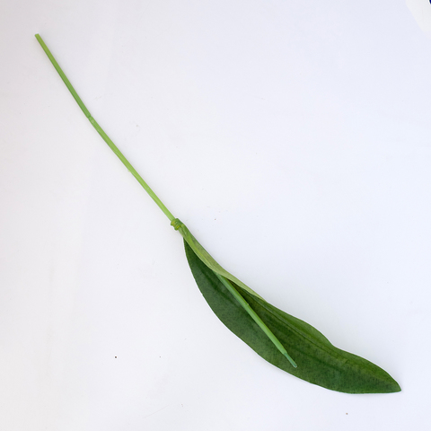 Ножка для тюльпана 30 см