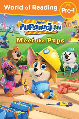 Pupstruction