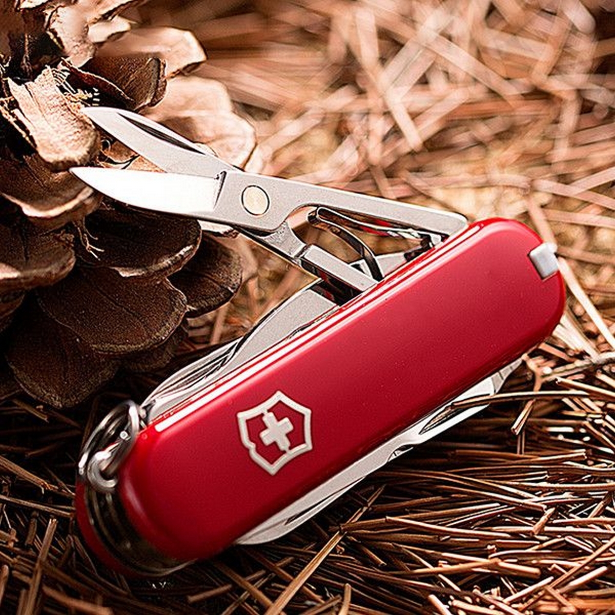 Швейцарский нож. Victorinox MINICHAMP (0.6385). Нож-брелок Victorinox MINICHAMP 0.6385 (58 мм, красный). Нож-брелок Victorinox 0.6385. Нож-брелок Mini Champ красный Victorinox 0.6385 GS.