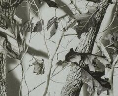 Ткань Оксфорд 240D PU 3000 WR 135 гр/м.п., зимний лес