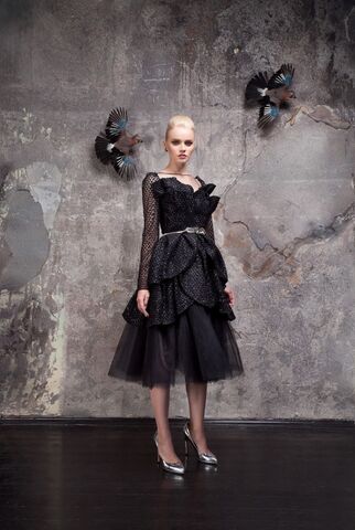 Fall/Winter 2016 Limited edition