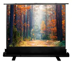 Экран Cactus 135x180см FloorExpert CS-PSFLE-180X135 4:3 напольный рулонный