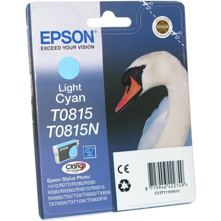 Картридж Epson T0791 Купить
