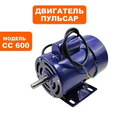 Двигатель эл. переменного тока ПУЛЬСАР СС600  (791-417-075)