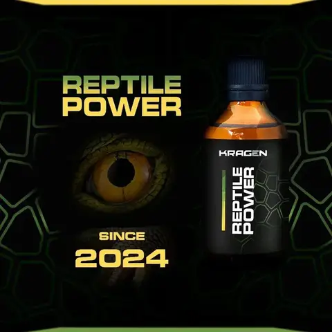 KRAGEN REPTILE POWER/ гибридное покрытие для ЛКП