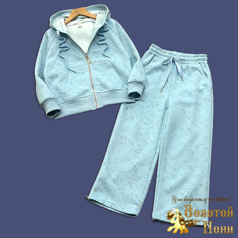 Костюм спортивный д (8-12) 260205-LP564