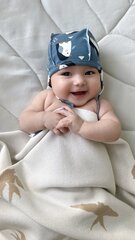 Чепчик (пингвины)