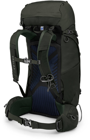 Картинка рюкзак туристический Osprey Kestrel 48 Picholine Green - 2