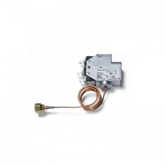 Johnson Controls P20GL-9650TC