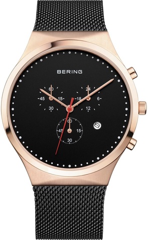 Наручные часы Bering 14740-166 фото