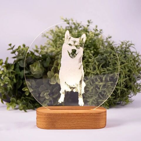 Настольный лазерный режущий гравер FLUX Beamo