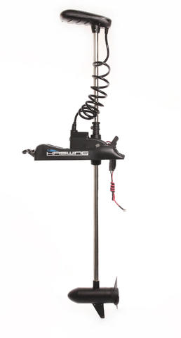 Haswing Cayman B GPS 80lbs 152см (60') 24В