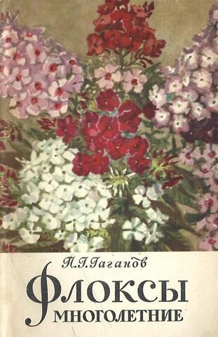 Флоксы многолетние