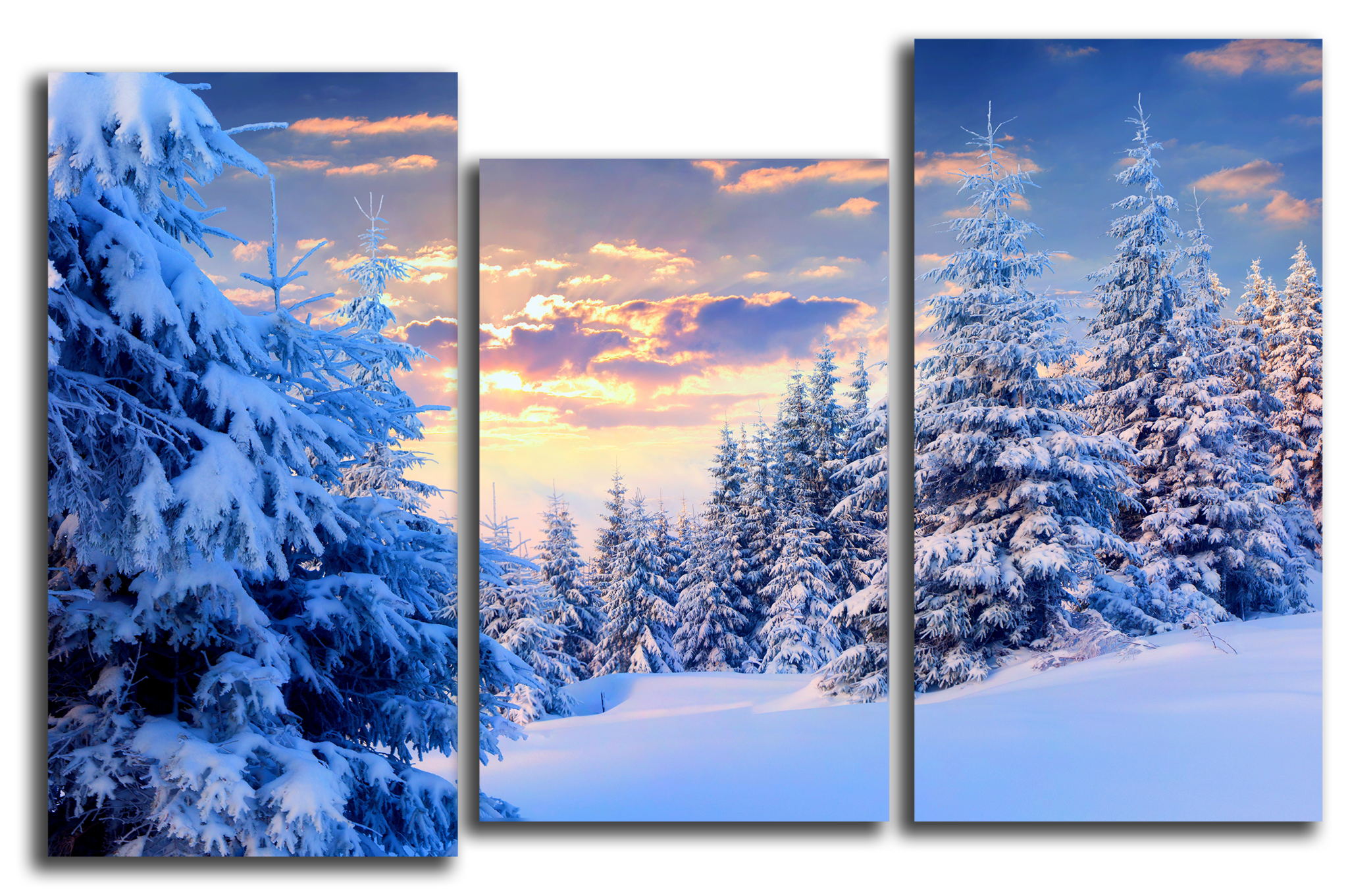 Модульные картины Модульная картина "Красивая зима" м1003.png