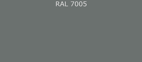 RAL7005