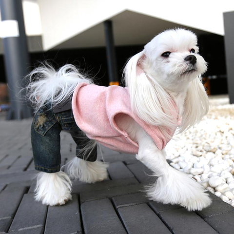 168 Костюм "Хипстер"