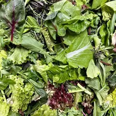 Микс салат "О, Батат", 100 г (цена указана за 100г, вес может отличаться)