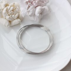 Мемори проволока, диаметр 60 мм, цвет серебро, ТР054