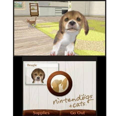 Игра Nintedogs + Cats. Карликовый пудель и новые друзья (3DS)