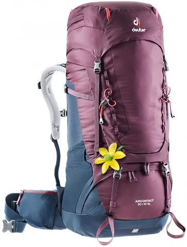 Картинка рюкзак туристический Deuter Aircontact 50+10 SL blackberry-navy - 1