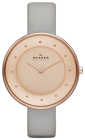 Наручные часы Skagen SKW2139 фото