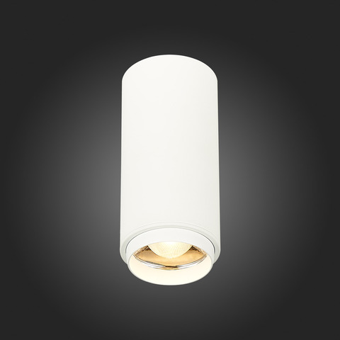 Светильник потолочный ST Luce ST600.532.10