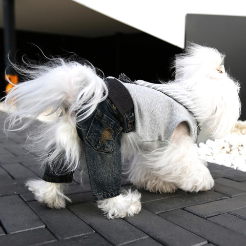 168 Костюм "Хипстер"