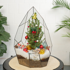 Готовый новогодний флорариум с елью Айсберг