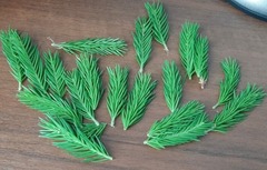 Силиконовый молд 