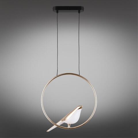 Подвесной светодиодный светильник Aployt Astor APL.822.06.10