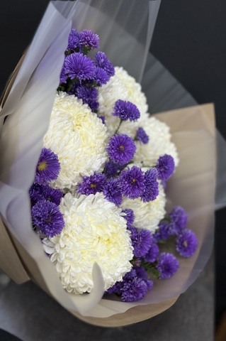 Зефирные хризантемы в Астрах