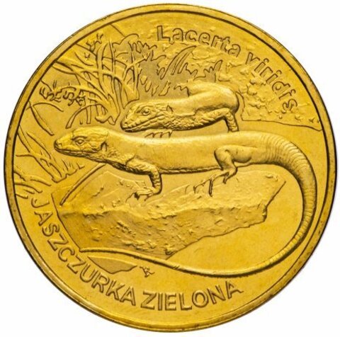 2 злотых Зелёная ящерица (животный мир) 2009 год, Польша. UNC