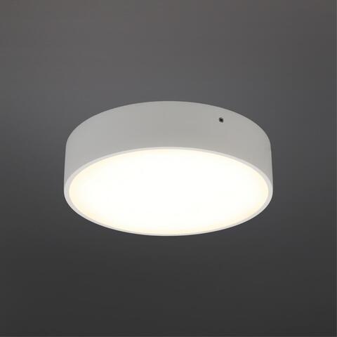 Потолочный светодиодный светильник Aployt Evon APL.0113.09.18