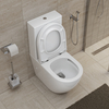 BelBagno BB2141CP-TOR/BB2141T/BB865SC Унитаз-компакт безободковый со смывом TORNADO BelBagno SFERA-TOR BB2141CP-TOR/BB2141T/BB865SC