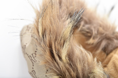 Royal Dog зимний костюм 