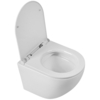 Унитаз подвесной безободковый BelBagno SFERA-R