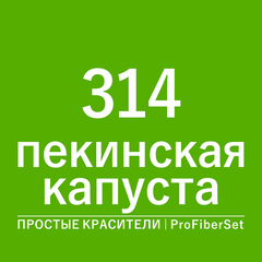 Цвет 314 пекинская капуста (ProFiberSet)